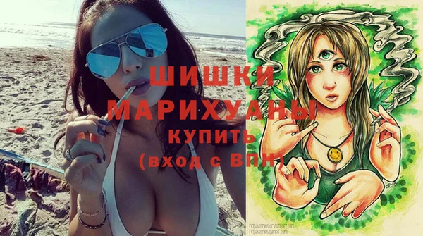 молекула духа Богородицк